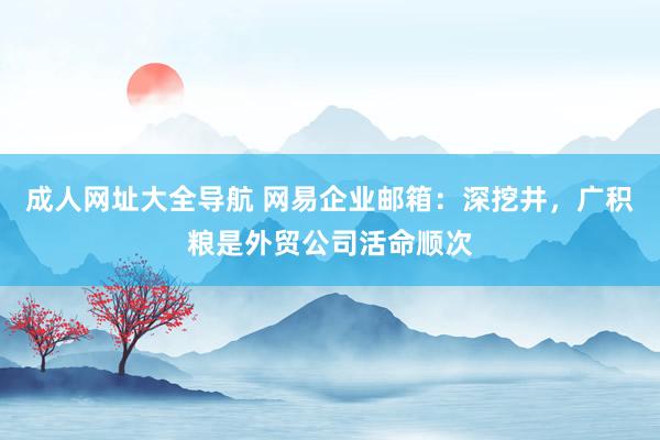 成人网址大全导航 网易企业邮箱：深挖井，广积粮是外贸公司活命顺次