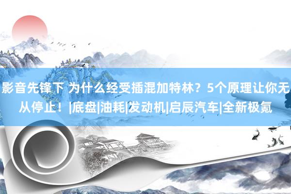 影音先锋下 为什么经受插混加特林？5个原理让你无从停止！|底盘|油耗|发动机|启辰汽车|全新极氪