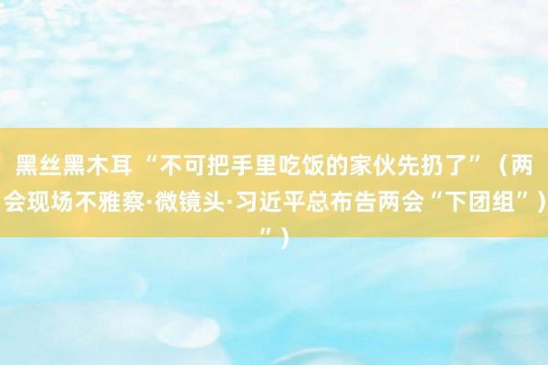 黑丝黑木耳 “不可把手里吃饭的家伙先扔了”（两会现场不雅察·微镜头·习近平总布告两会“下团组”）