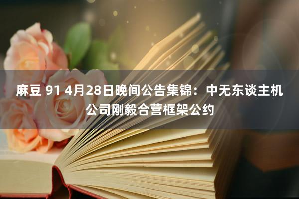 麻豆 91 4月28日晚间公告集锦：中无东谈主机公司刚毅合营框架公约