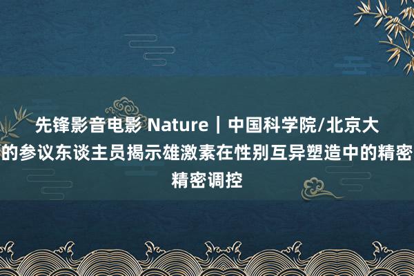 先锋影音电影 Nature｜中国科学院/北京大学等的参议东谈主员揭示雄激素在性别互异塑造中的精密调控