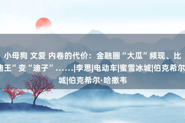 小母狗 文爱 内卷的代价：金融圈“大瓜”频现、比亚迪“迪王”变“迪子”……|李思|电动车|蜜雪冰城|伯克希尔·哈撒韦