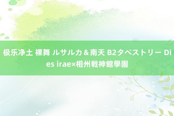 极乐净土 裸舞 ルサルカ＆南天 B2タペストリー Dies irae×相州戦神館學園