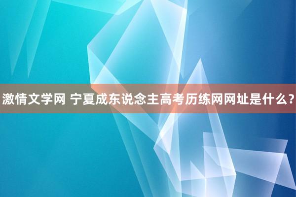 激情文学网 宁夏成东说念主高考历练网网址是什么？