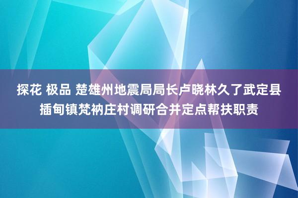 探花 极品 楚雄州地震局局长卢晓林久了武定县插甸镇梵衲庄村调研合并定点帮扶职责