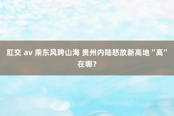 肛交 av 乘东风跨山海 贵州内陆怒放新高地“高”在哪？