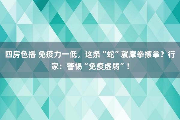 四房色播 免疫力一低，这条“蛇”就摩拳擦掌？行家：警惕“免疫虚弱”！